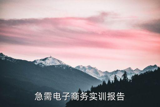 電子商務網站首頁實訓報告，求一個電子商務實訓總結...